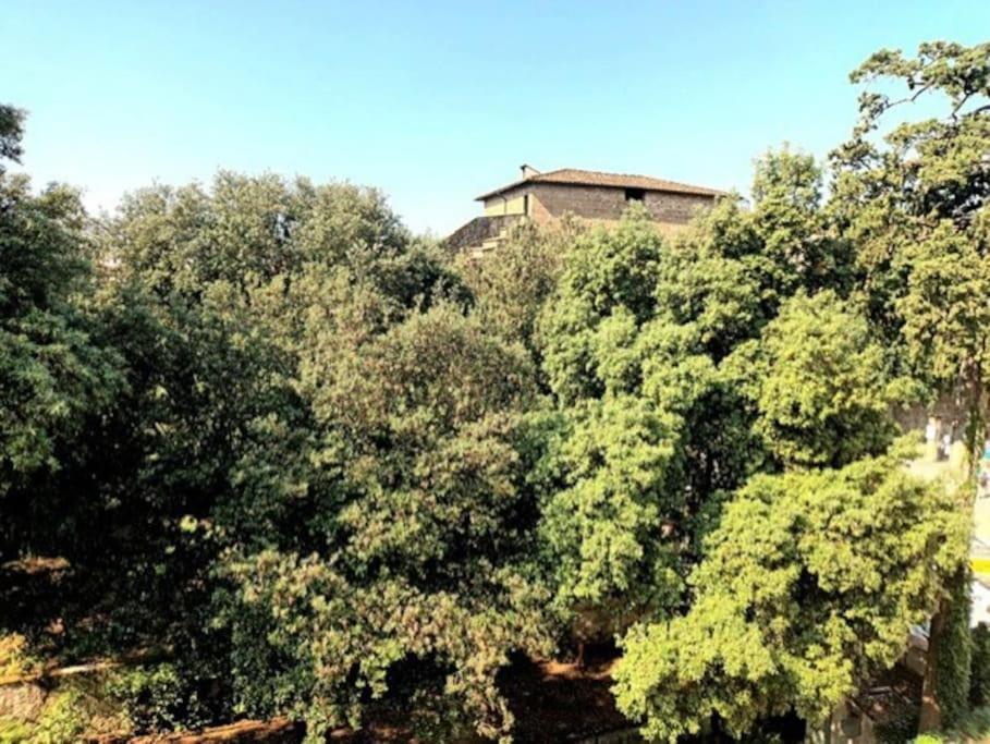 * * * * * Casa Vista Boboli Nel Cuore Di Firenze Kültér fotó